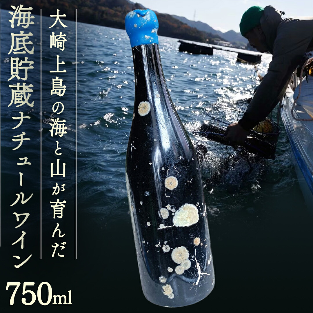 【ふるさと納税】海底貯蔵 ワイン 「海底貯蔵 エヌ by Vignoble de NAKA rouge MBA」【2026年6月以降発送】お酒 酒 ぶどう 葡萄 瀬戸内 熟成 ビンテージワイン ナチュラルワイン