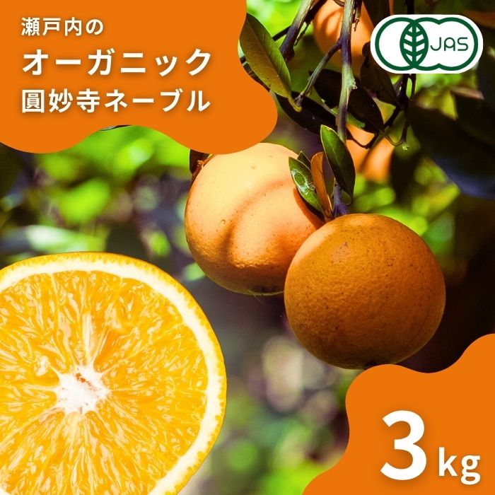 【ふるさと納税】オーガニック圓妙寺ネーブル 約3kg(1~2月発送) 10~15個程度 国産 瀬戸内 広島 大崎上島 離島 有機JAS認証 有機栽培 安心 安全 オーガニック フルーツ 柑橘 ネーブル 濃厚 果物 ギフト 送料無料 産地直送 中原観光農園