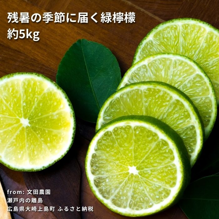 【ふるさと納税】[9月発送] 文田農園の爽やかハウスグリーンレモン 約5kg 瀬戸内 広島 大崎上島 離島 柑橘 檸檬 果物 フルーツ 贈答用 ギフト 送料無料 産地直送