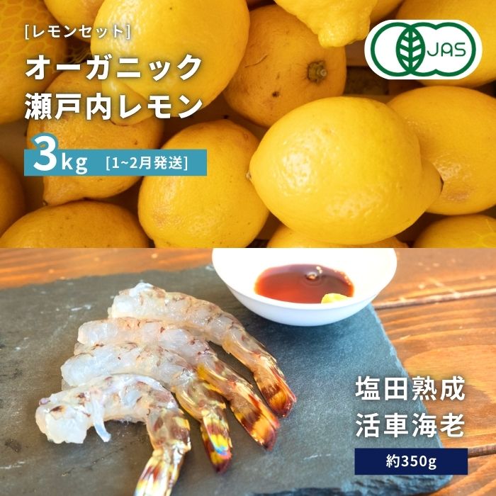 【ふるさと納税】オーガニック瀬戸内レモン 3kg(1~2月発送) / 塩田熟成活車海老 350g オーガニック 有機レモン 有機JAS 果汁100% レモン えび エビ エビフライ 晩酌 国産 瀬戸内 濃厚 甘さ控えめ 免疫力向上 健康 ビタミンC クエン酸 抗酸化 ソーダ 炭酸水
