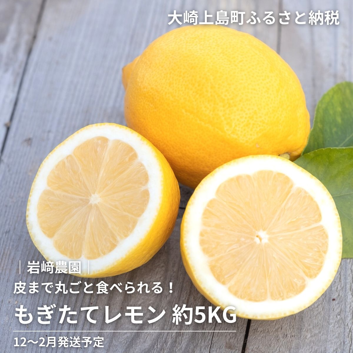 呉市大崎下島産 栽培期間中農薬不使用 瀬戸内レモン お届け 5kg 呉市大崎下島産 栽培期間中農薬不使用 瀬戸内レモン お届け 5kg