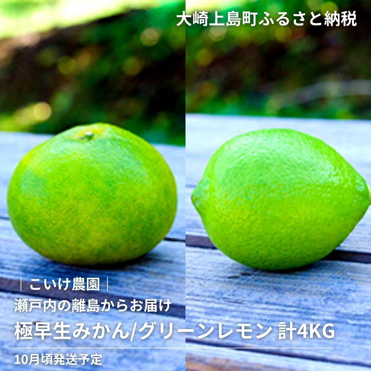 呉市大崎下島産 栽培期間中農薬不使用 瀬戸内レモン お届け 5kg 呉市大崎下島産 栽培期間中農薬不使用 瀬戸内レモン お届け 5kg