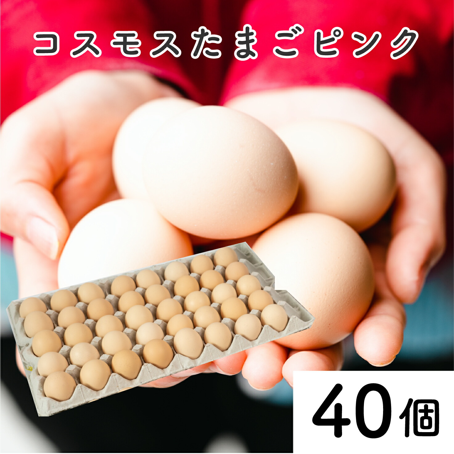 市場 ふるさと納税 生卵 40個 コスモス卵ピンク 玉子 たまご