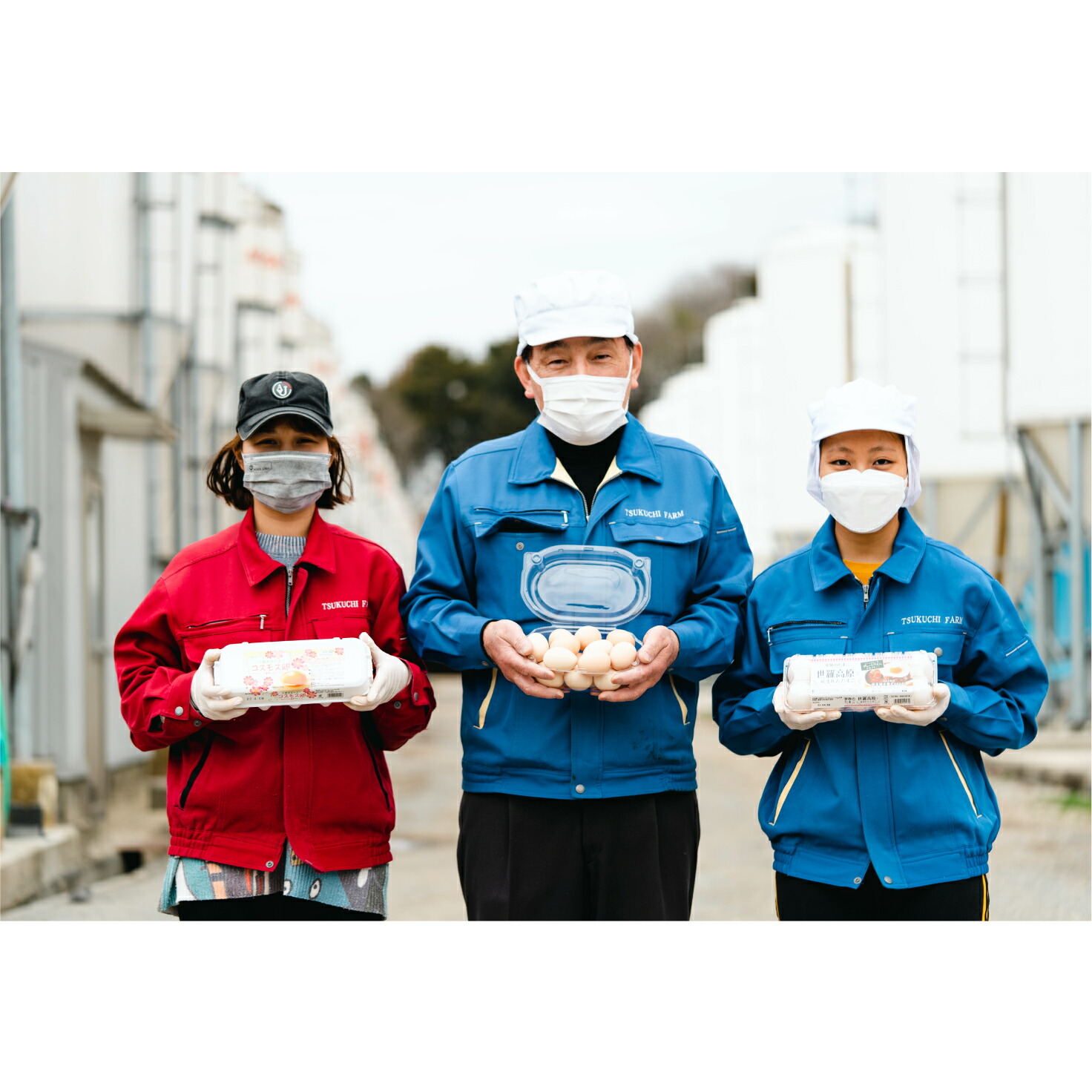 市場 ふるさと納税 たまご 30個 コスモス卵ピンク 10個入り 3パック