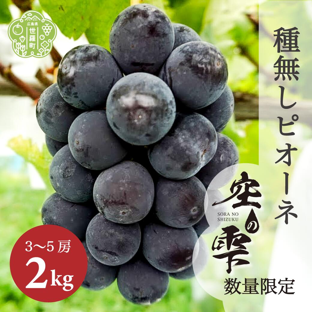 【ふるさと納税】種無しピオーネ 約2kg(3～5房)【ご家庭用･先行予約】数量限定 空の雫 ピオーネ ぶどう 葡萄 ブドウ フルーツ 果物 くだもの 産地直送 世羅 世羅産 サンワファーム 【2025年9月上旬以降順次発送】A025-02