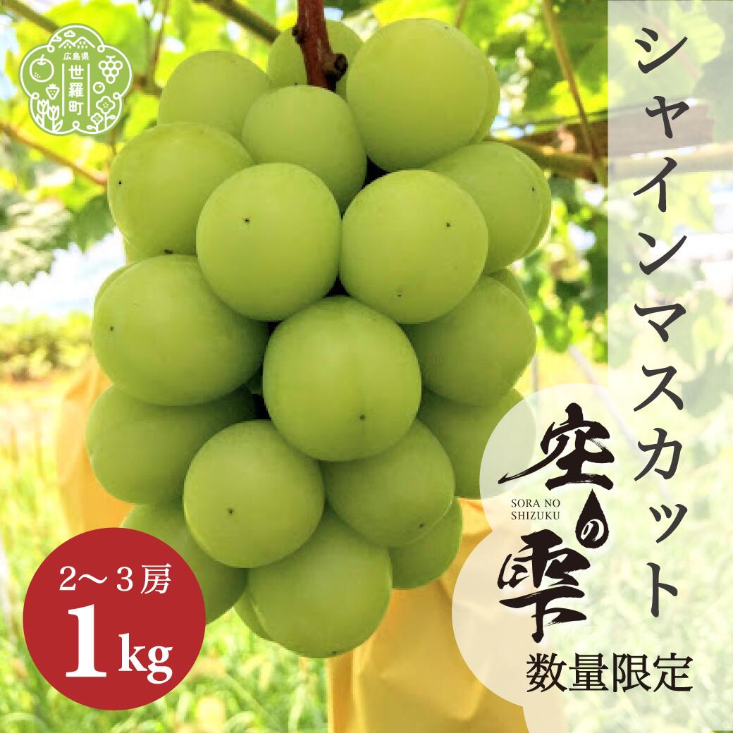 楽天市場】【ふるさと納税】世羅町産 シャインマスカット約2kg(4～5房