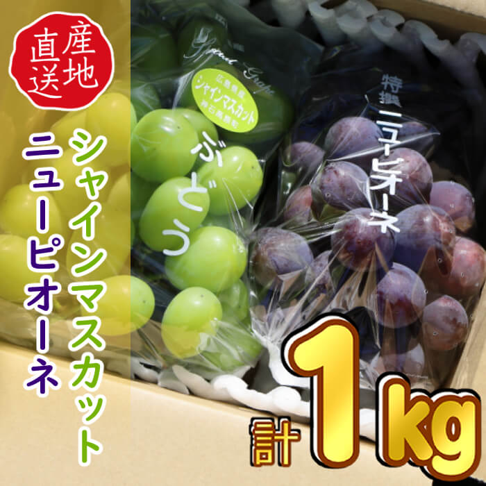 楽天市場 ふるさと納税 ニューピオーネ シャインマスカット合計１ｋｇ 送料無料 種無し 広島県神石高原町産 産地直送 訳あり 広島県神石高原町