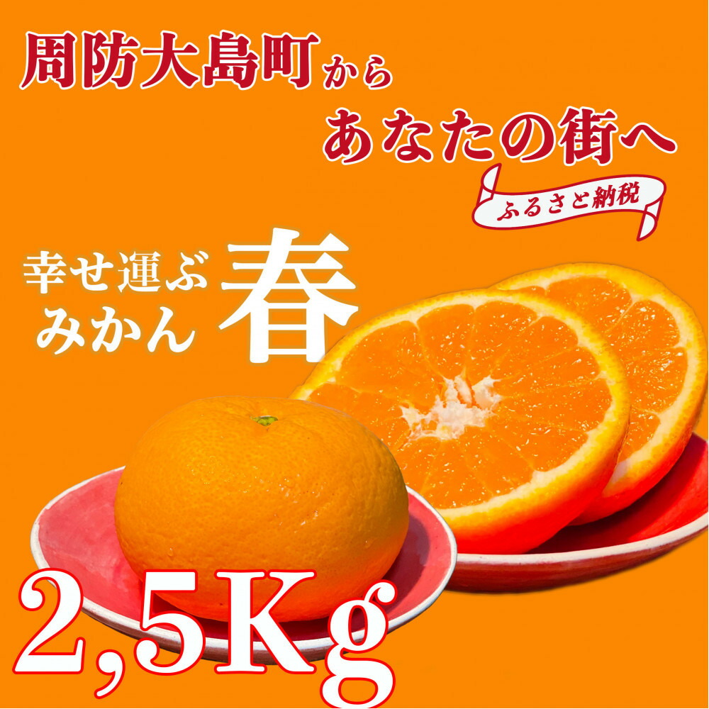 楽天市場】【ふるさと納税】【2026年3月より順次発送】山口県周防大