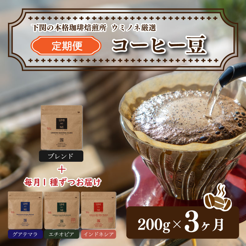 【ふるさと納税】 コーヒー 豆 定期便 200g 3回 ブレンド グアテマラ インドネシア エチオピア 新鮮 ギフト 下関市 山口 父の日 母の日 プレゼント 贈り物 お歳暮 お中元 お盆 感謝 贅沢 年末 年始 本場 朝食 にもピッタリ 人気 14,400円