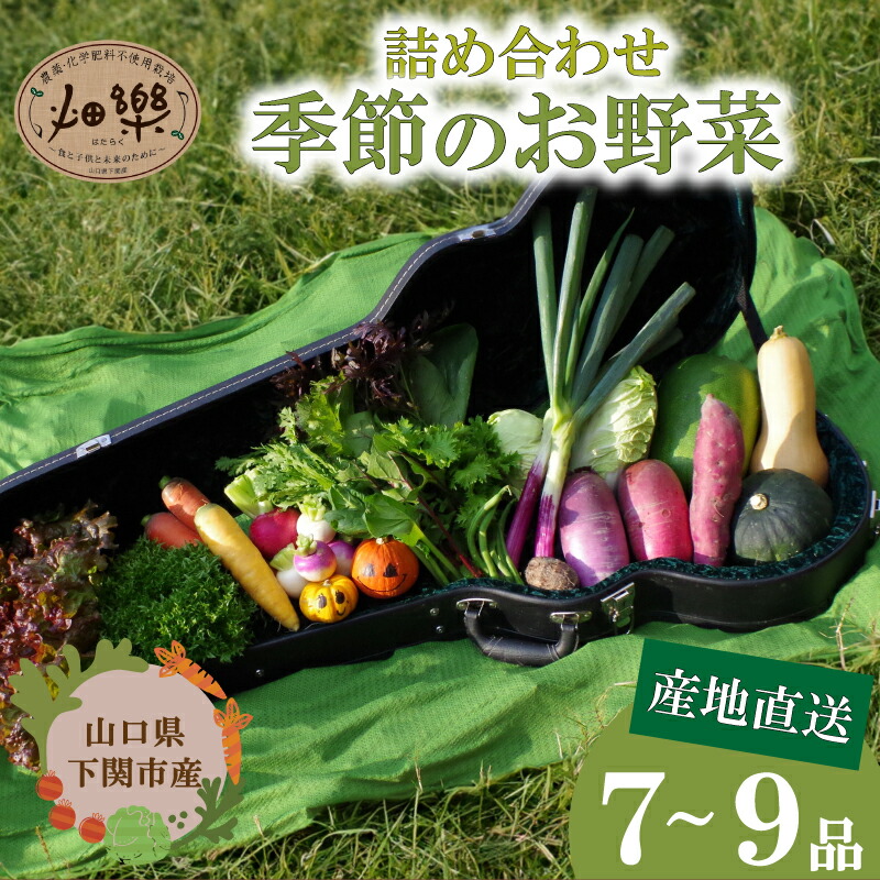 楽天市場】【ふるさと納税】 旬 の 野菜 詰め合わせ セット 3ヶ月 定期