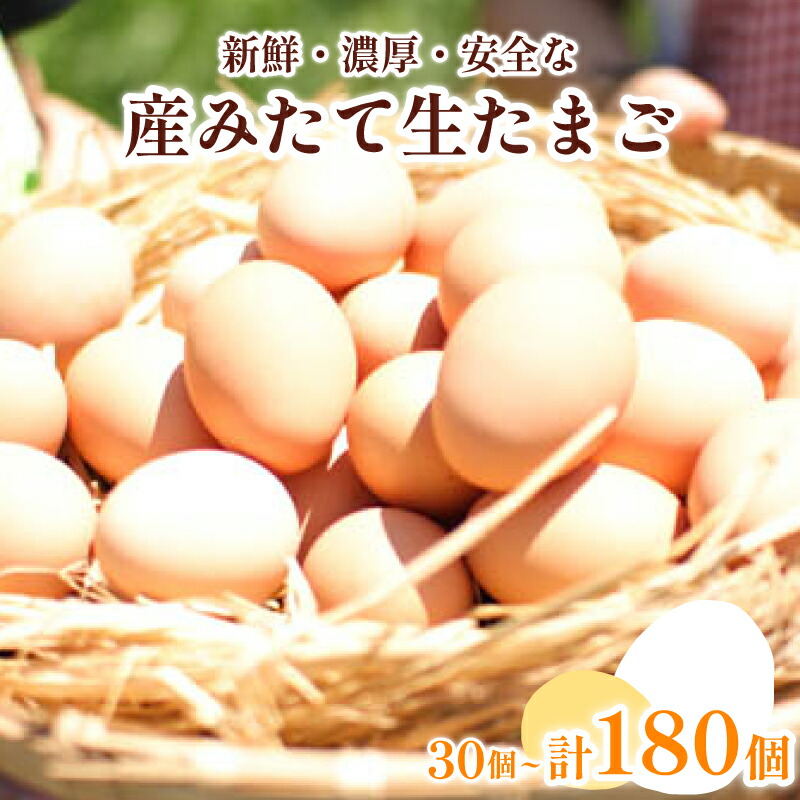 【ふるさと納税】 たまご 卵 単回 or 定期便 3ヶ月～6ヶ月 30個 × 3ヶ月～6ヶ月 30個 ( 26個 ＋ 割れ保障 4個 ) お届け 玉子 産みたて たまご 鶏卵 卵料理 生卵 玉子焼き 国産 玉子 新鮮 卵かけご飯 大容量 生 卵 鶏 天然 すき焼き 目玉 焼き おかず お弁当 下関 豊北 山口