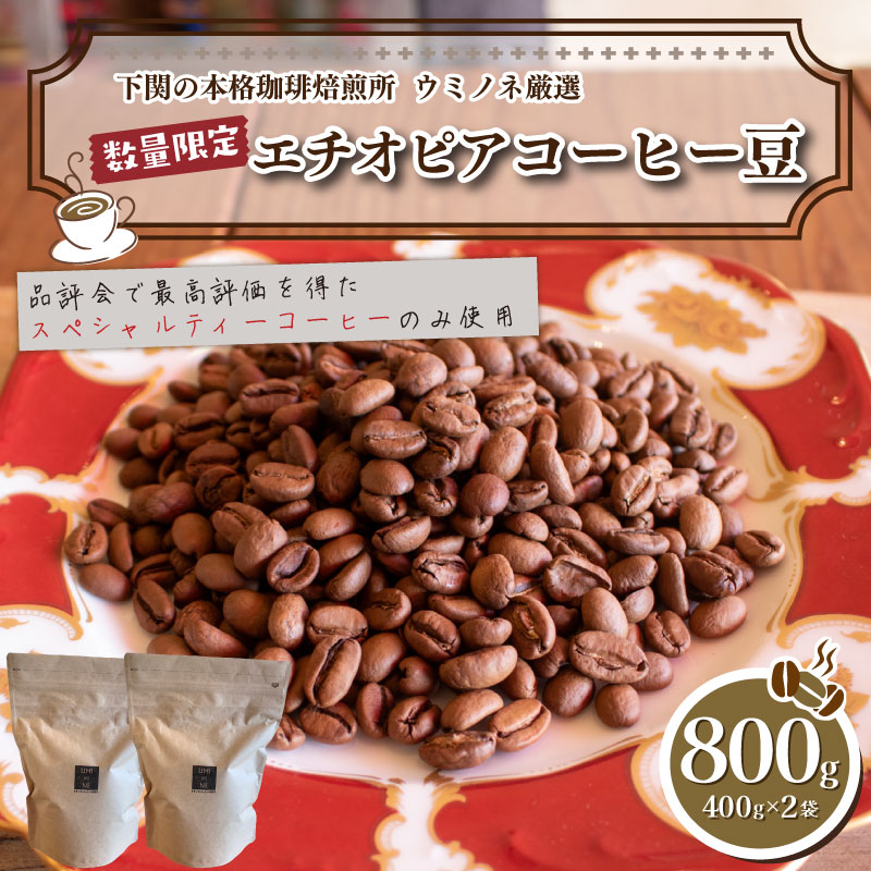 【ふるさと納税】 訳あり エチオピア コーヒー 豆 800g ( 400g × 2袋 ) 選べる 単回 定期便 コーヒー 珈琲 出荷当日 自家焙煎 スペシャルティコーヒー 飲料 ドリンク ホット アイス 手軽 便利 オフィス キャンプ アウトドア おうち時間 下関 山口