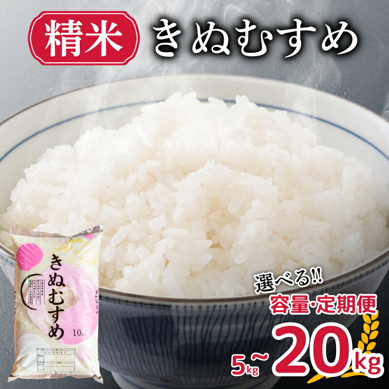 【ふるさと納税】 米 きぬむすめ 5kg 10kg 20kg 令和6年度米 精米 選べる 容量 定期便 米 お届け回数 お米 選べる定期便 1回お届け 月1お届け 白米 直前精米 精米したて やまだ農園 豊田町 下関 山口