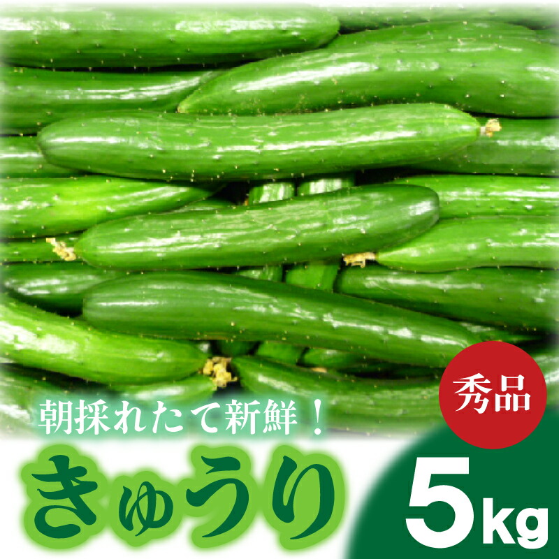 楽天市場】【ふるさと納税】＜内容量が選べる！＞宮崎県産