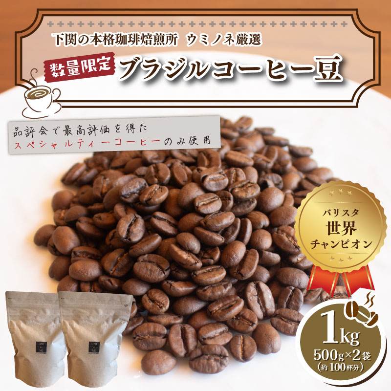 【ふるさと納税】 訳あり コーヒー 豆 1kg ( 500g × 2袋 ) ブラジル レッド カトゥアイ 数量限定 コーヒー 珈琲 出荷当日 自家焙煎 スペシャルティコーヒー コーヒータイム 飲料 オフィス キャンプ アウトドア 下関 山口