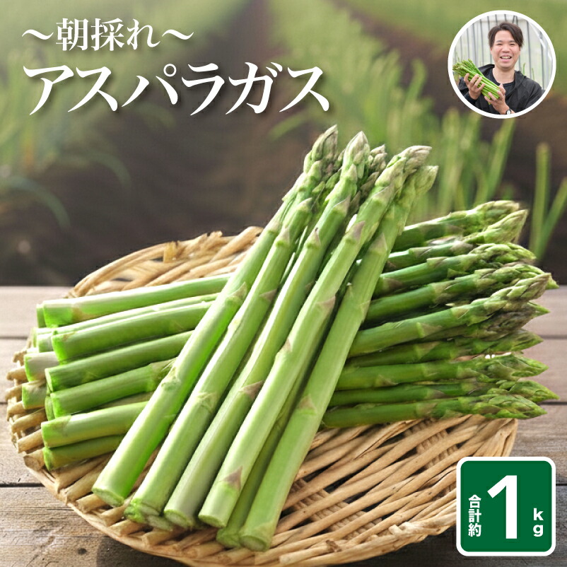 新鮮アスパラ　アスパラガス　B品　訳ありミックス 楽天市場】【ふるさと納税】 訳あり アスパラガス B品 600g~1.2kg 朝