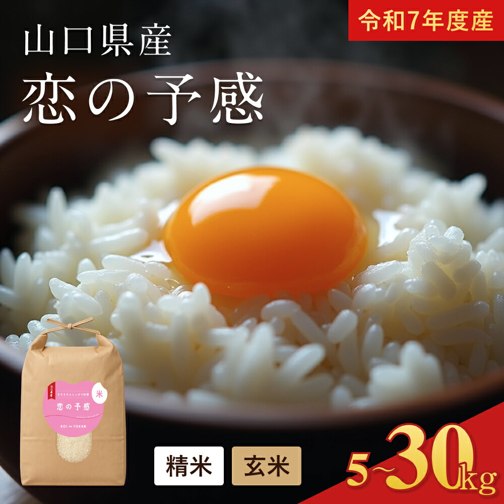 令和7年度産 山口県産（新米）20kg恋の予感 白米/玄米 農家