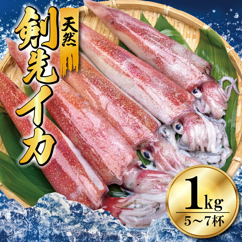 【ふるさと納税】 天然 剣先イカ 1kg 5～7杯 いか 新鮮 急速冷凍 釣りたて 魚介 刺身 イカ 剣先いか イカ刺し 塩辛 墨抜き ケンサキイカ 海鮮 刺し身 下処理済み グルメ おつまみ ご飯のお供 下関 山口 【配送指定日必須】｜山口県下関市