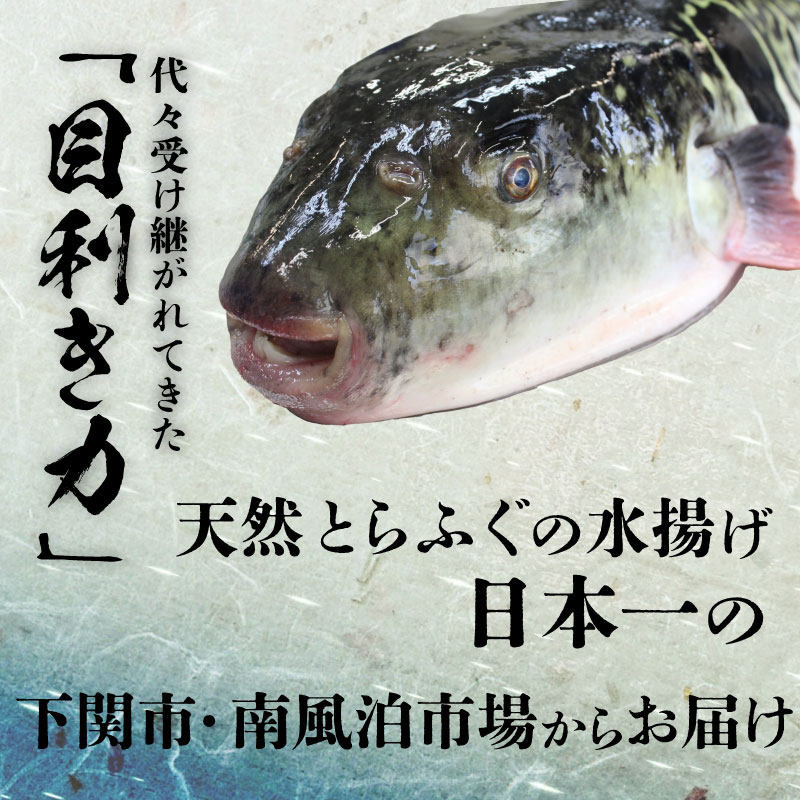 81%OFF!】 ふぐ 刺身 ちり 鍋 セット 皮 湯引き 3〜4人前 冷凍 とらふぐ 刺し てっさ てっちり 高タンパク コラーゲン 低脂肪 ボトル  ポン酢 ねぎ ひれ 付き 下関 www.dexion.com.au