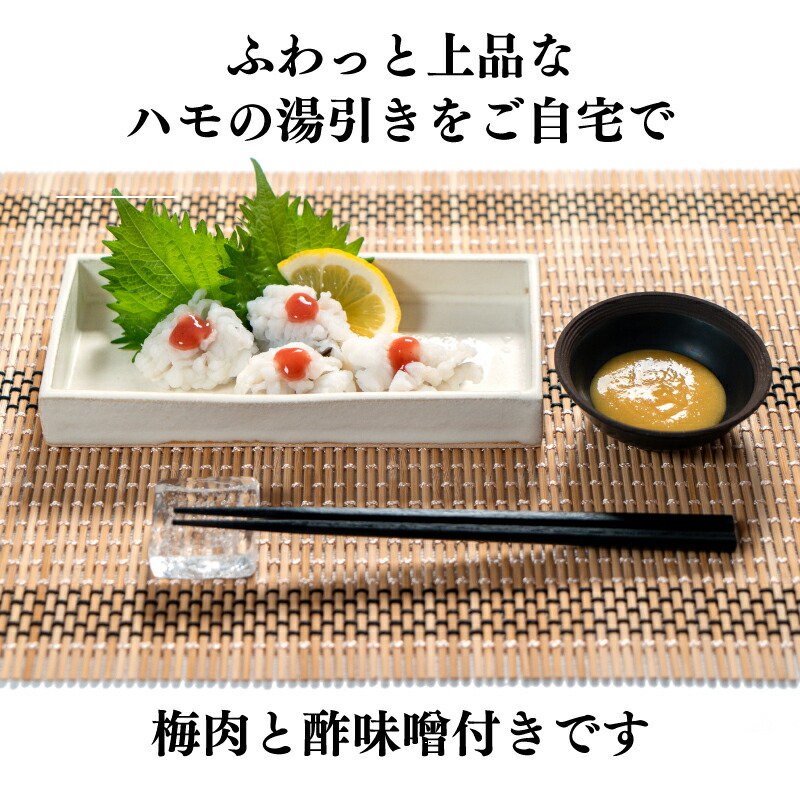 新商品 ハモ 湯引き 梅肉 酢味噌 付 下関 山口 Fucoa Cl
