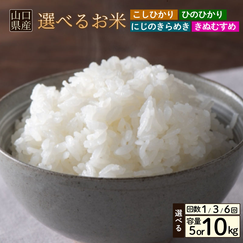 【ふるさと納税】【先行予約】 米 5kg 10kg 選べる 定期便 回数 ひのひかり きぬむすめ こしひかり にじのきらめき 新米 玄米 お米 10kg 30kg 60kg 月1回お届け お届け回数 コシヒカリ 大容量 下関 山口