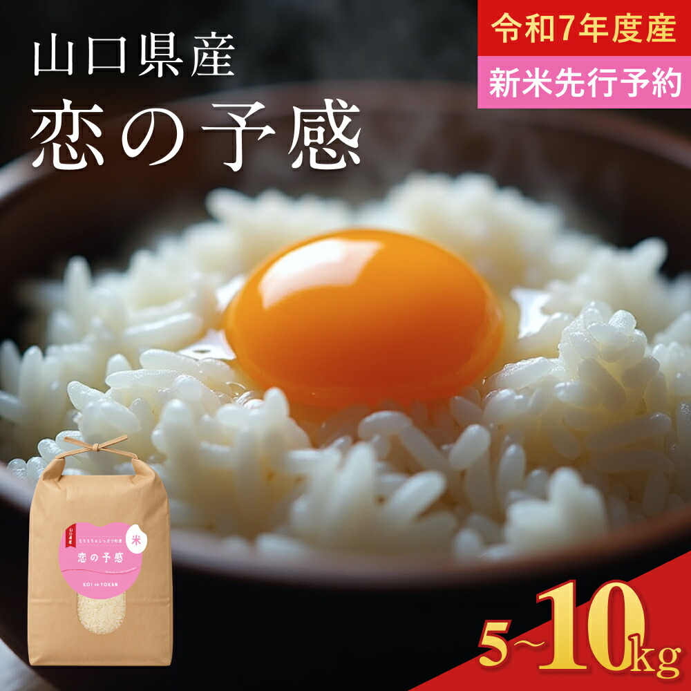 山口県 ふるさと特選米 5kg✖︎5 25kg