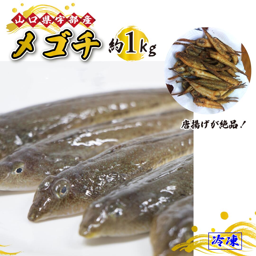 【ふるさと納税】 メゴチ ・ メコチ  (1kg) 【 魚 新鮮 ツマミ 唐揚げ 市場直送 山口県 宇部市 】