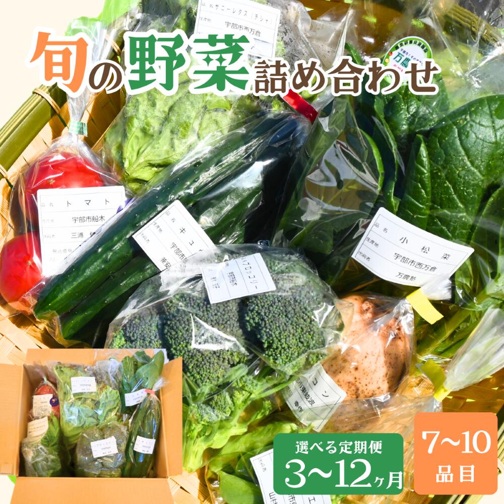 【ふるさと納税】【選べる定期便 3ヶ月～12ヶ月】新鮮野菜の産直 7～10品目 ＜楠こもれびの郷「楠四季菜市」 | 新鮮野菜 宇部市産 季節野菜 詰合せ 直送 野菜セット 旬の野菜 地元産 新鮮食品 野菜ボックス 定期便 山口県 宇部市