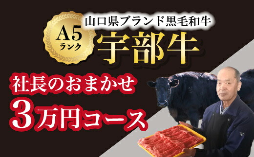 【ふるさと納税】【宇部牛】社長おまかせ ＜３万円コース＞ 黒毛和牛 Ａ５ランク 宇部牛　山口県 宇部市 こだわり ブランド 希少部位 骨付き 焼肉 すき焼き BBQ しゃぶしゃぶ ステーキ お祝い イベント クリスマス お誕生日｜山口県宇部市