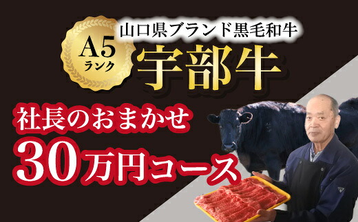 【ふるさと納税】【宇部牛】社長おまかせ <30万円コース> 黒毛和牛A5ランク宇部牛 山口県 宇部市 こだわり ブランド 希少部位 骨付き 焼肉 すき焼き BBQ しゃぶしゃぶ ステーキ お祝い イベント クリスマス お誕生日|山口県宇部市