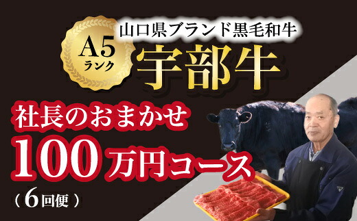 【ふるさと納税】【宇部牛】（定期便 ６回便）社長おまかせプレミアム ＜１００万円コース＞ 黒毛和牛Ａ５ランク宇部牛 山口県 宇部市 こだわり ブランド 希少部位 骨付き 焼肉 すき焼き BBQ しゃぶしゃぶ ステーキ お祝い イベント クリスマス お誕生日｜山口県宇部市