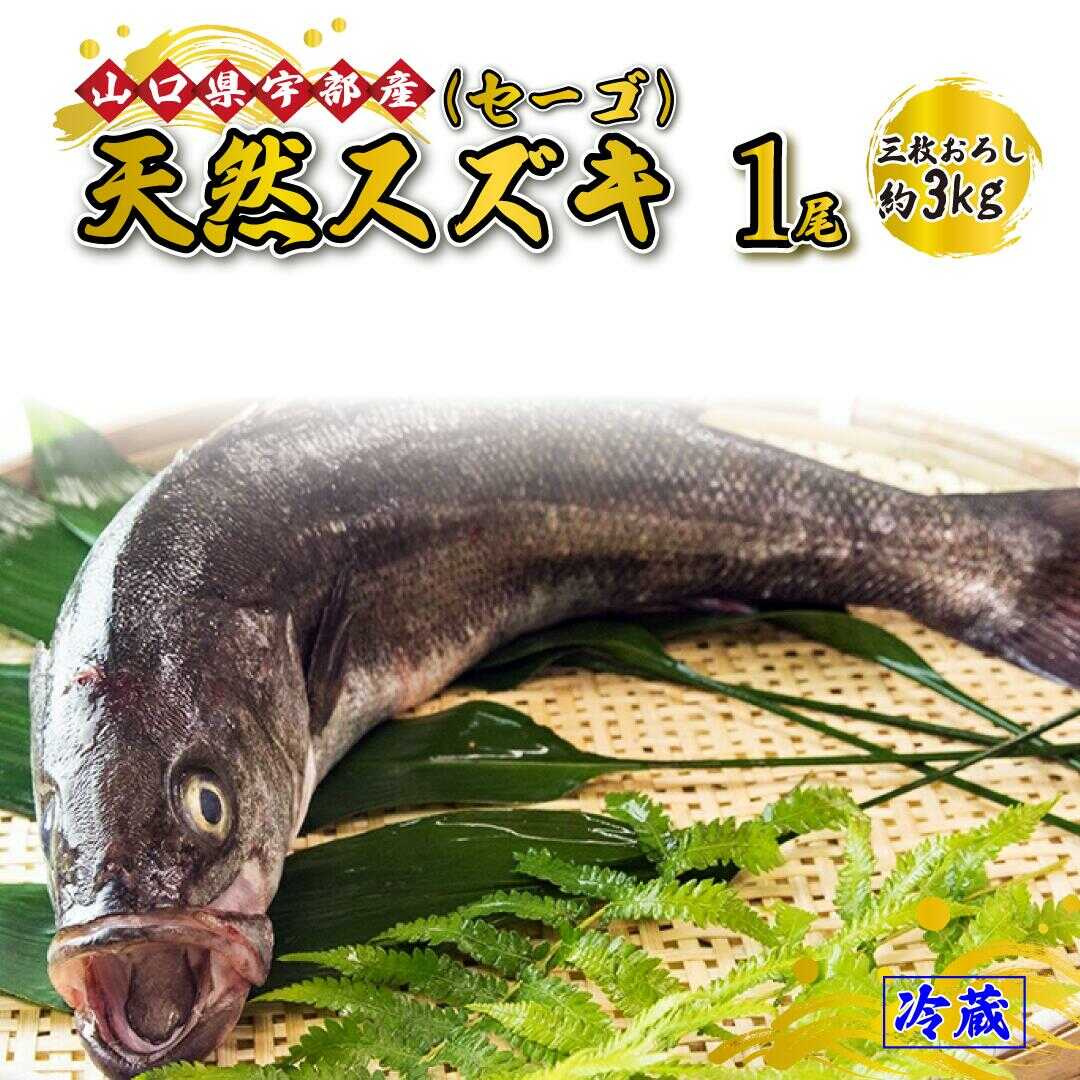 【楽天市場】【ふるさと納税】※着日指定必須※ 《三枚おろし》 天然 スズキ ・ セーゴ (1尾 約3kg) 【 魚 新鮮 ツマミ 刺身 煮つけ 市場直送 山口県 宇部市 】[BTAE020]：山口県宇部市
