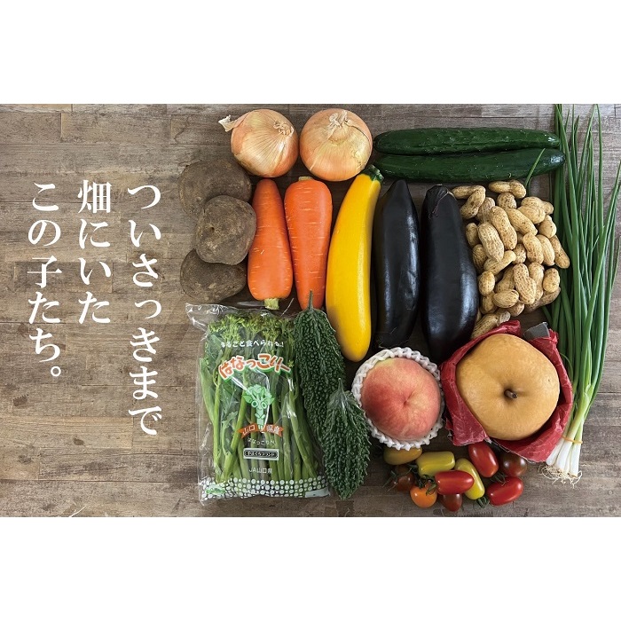 ふるさと納税 神戸市 2023年10月発送開始『定期便』神戸のお野菜詰め合わせセット(季節のフルーツ入)3ヶ月　全3回