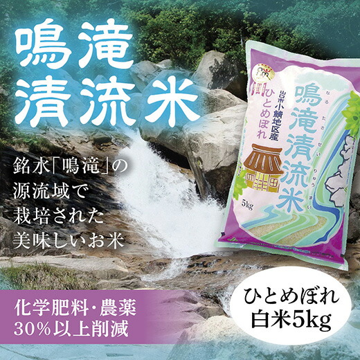 D334【ふるさと納税】鳴滝清流米白米5kg|山口県山口市