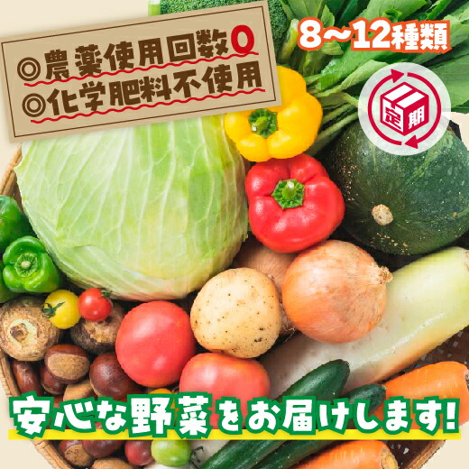 A034【ふるさと納税】安心お野菜定期便（12回コース）