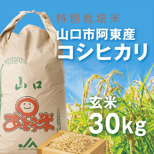 B094【ふるさと納税】特別栽培米阿東産コシヒカリ玄米30kg｜山口県山口市