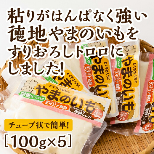 D152【ふるさと納税】徳地やまのいものすりおろしトロロ　100g×5個