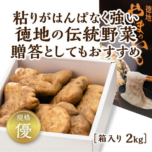 D534【ふるさと納税】徳地やまのいも箱入り2kg（優）