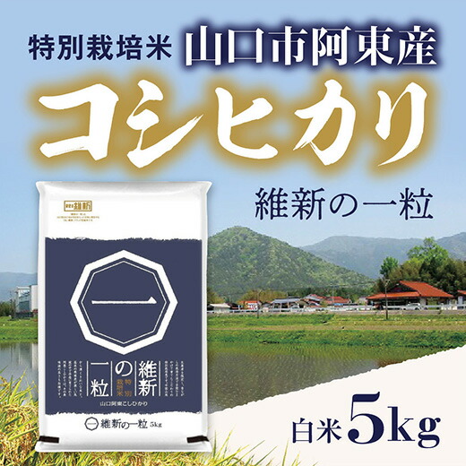 D407【ふるさと納税】維新の一粒5kg(白米)|山口県山口市