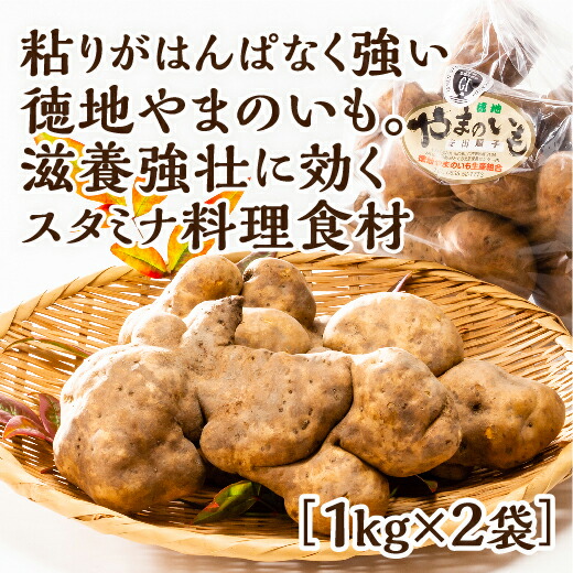 D213【ふるさと納税】徳地やまのいも1kg袋（ご家庭用）×2袋