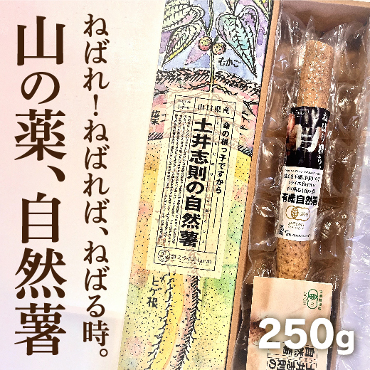 E023【ふるさと納税】【山薬王】命の根っこですから。最高級無農薬有機JAS自然薯真空保存