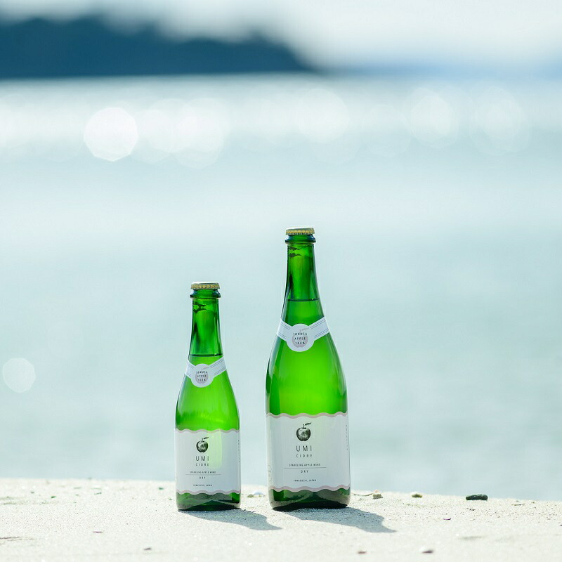 D249【ふるさと納税】【山口産りんご】ドライ・スイート飲み比べセット(375ml×2本)やまぐちシードル|山口県山口市