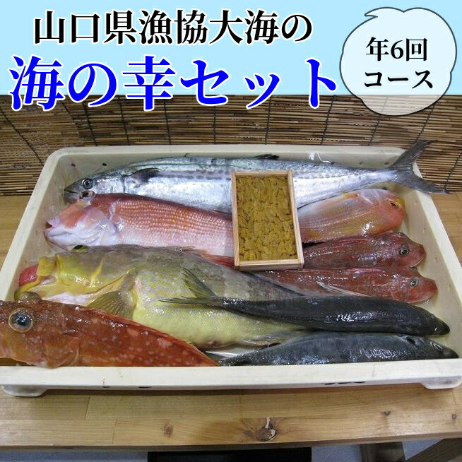 ふるさと納税 山口市 海鮮丼4品人気セット ネギトロ他3品 660g E-178