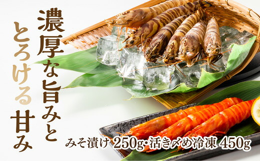 C135【ふるさと納税】特撰車えびセット