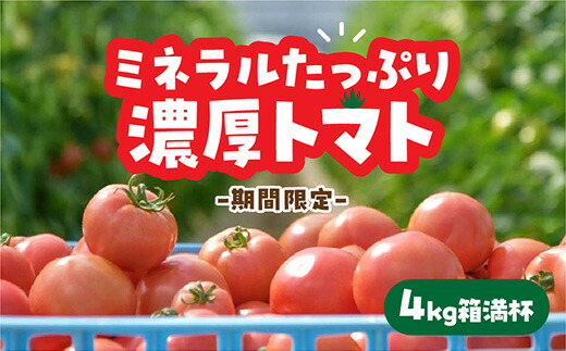 D325【ふるさと納税】 山口秋穂トマト　浜青江とまと農園