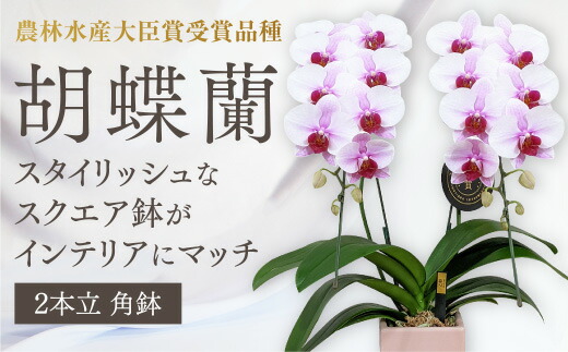 大人気 在庫あり M4S34L8OGWD 型番:M4S34L8OGWD