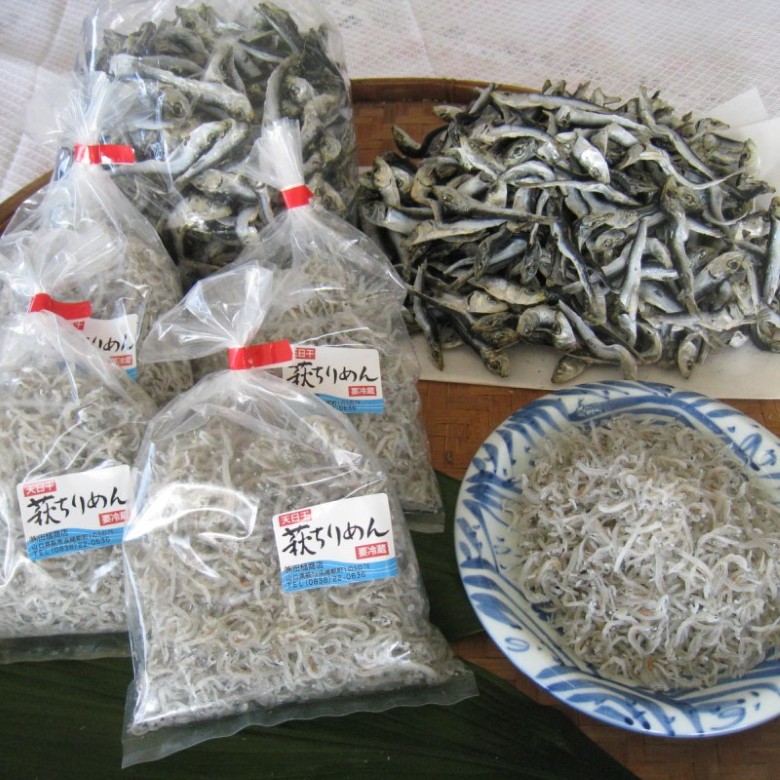 【ふるさと納税】ちりめんじゃこ セット 天日干し 萩 ちりめん 130g×5 いりこ 450g×2 魚 小魚|山口県萩市