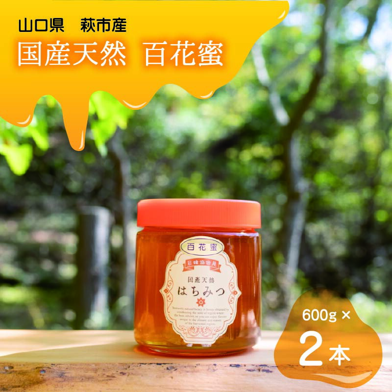 ふるさと納税】純粋天然 百花はちみつ 600g×2本 ふるさと納税】純粋天然 百花はちみつ 600g×2本