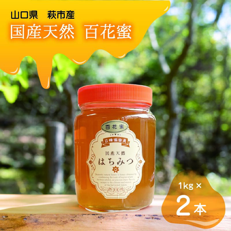 ふるさと納税】純粋天然 百花はちみつ 1kg×2本 024-019_s_260403.jpg