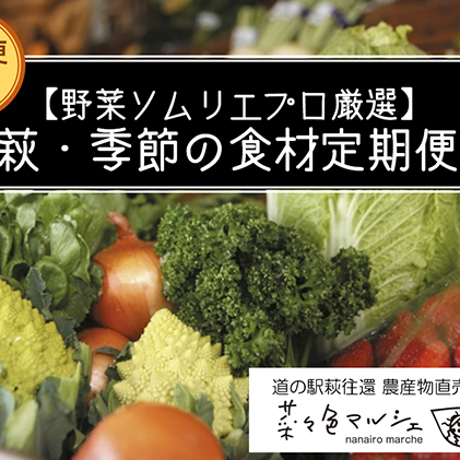 山口県萩市 ふるさと納税 セット 詰め合わせ 萩 季節の食材定期便 野菜ソムリエプロ厳選 野菜 きのこ 定期便 セット 詰合せ 野菜 野菜セット 6回コース 山口県萩市